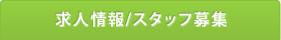 求人情報/スタッフ募集